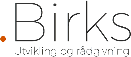 Birks Digital Utvikling og Rådgivning